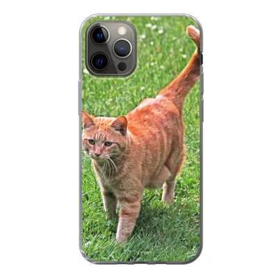 Produktbild von MuchoWow® Handyhülle Schutzhülle Hülle für iPhone 12 Pro Katze - Rot - Katze - Mädchen - Kinder - Jungen - Kind Silikon Softcase Handy Hülle - Abdeckung