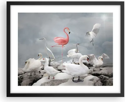 Produktbild von Gerahmtes Poster - Schwarzer Rahmen - Flamingo Schwan Fantasie - 50x40 cm - Wand Bild - Wanddeko - Wandbilder - Kunstposter - Wandposter - Bilderrahmen - Bilder - Kunstdruck - P2BAA50x40-4929