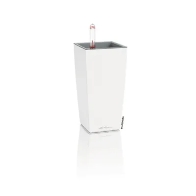 Produktbild von LECHUZA-Pflanzgefäß MAXI-CUBI Premium Weiß matt | Tischgefäß mit Bewässerung und Pflanzeinsatz | matte Oberfläche | 14 x 14 x 26 cm | 18047