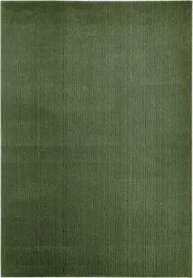 Produktbild von Flachwebteppich Bartolo 160 x 230 cm waldgrün