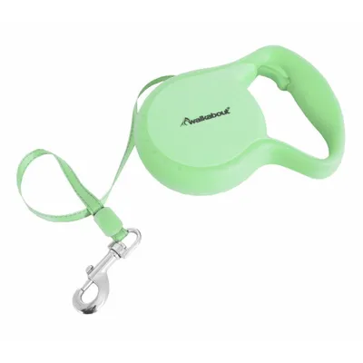 Produktbild von Reflektierende 3-Tape Hundeleine, leuchtend im Dunkeln, Grün, 3,1m Länge, XS