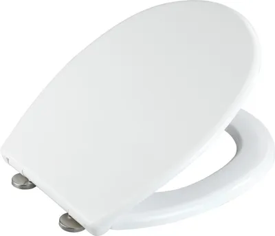 A white toilet seat with silver hinges is shown against a white background.