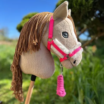 Image de Licol et longe en moumoute rose pour hobby horse