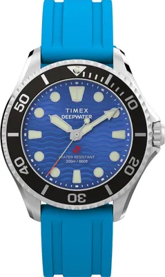 Obrázek produktu pro Modré hodinky Timex TW2Y40400