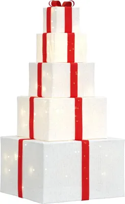Image de Vidaxl Décoration de Noël Boîte cadeau 250 LEDs blanc chaud