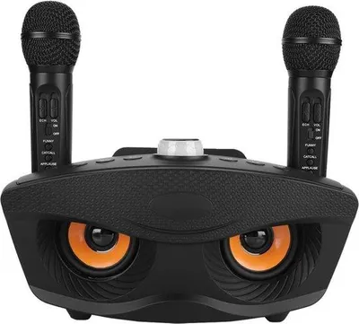 Image de Kit de karaoké pour adultes - 2 microphones - Kit de karaoké sans fil pour téléviseur - Kit de karaoké avec microphone noir