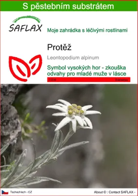 Obrázek produktu pro SAFLAX - Protěž - Leontopodium alpinum - 500 Semena - S pěstebním substrátem bez klíčků