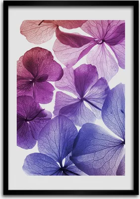 Produktbild von Bild - Bilderrahmen - Foto - 70 cm x 100 cm - MDF - Rahmen - Wandkunst - Violette Blumen