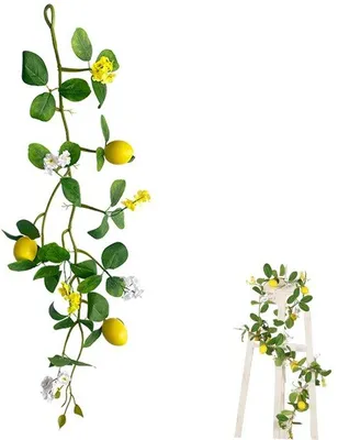 Produktbild von Kunststoff-Zitronenranken grün Dekoration
