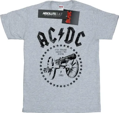 Produktbild von AC/DC - "We Salute You" T-Shirt für Herren BI7002 (M) (Grau)