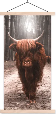 Produktbild von MuchoWow® Textilposter Schottisches Hochlandrind - Wald - Kuh - Tiere - Natur 60x120 cm mit holzfarbenen Rahmen - Holz