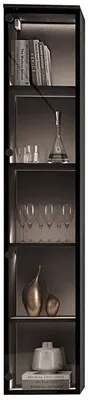 Imagen del producto de Vitrina de pared FIGO 03 negro