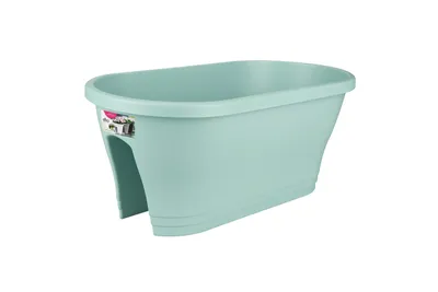 Image de elho pont fleur corse 60 cm - menthe