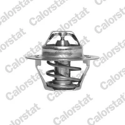 Produktbild von CALORSTAT by Vernet Thermostat + Dichtung