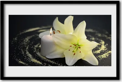 Produktbild von Bild 60x40 MDF-Rahmen Wandkunst Natur Blume Pflanze