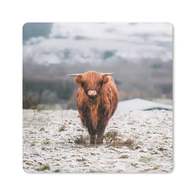Produktbild von MuchoWow® Mauspad Mousepad Schottischer Highlander - Schnee - Berg 30x30 cm - Mousepads - Maus Mat - Pad - Mausunterlage - Gaming
