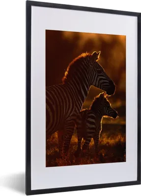 Produktbild von MuchoWow® MuchoWow® Gerahmtes Poster Zebra - Sonne - Fohlen 40x60 cm - Poster mit zchwarzem Bilderrahmen - Poster in Rahmen