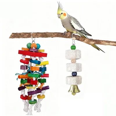 Image de 2 jouets pour perroquets, jouets suspendus en bois naturel, jouets à mâcher pour cage à oiseaux, accessoires