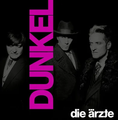 Produktbild von CD Die Ärzte - Dunkel (Im Schuber Mit Girlande)