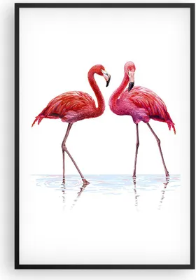 Produktbild von Gerahmtes Poster - Schwarzer Rahmen - Flamingos Rosa Paar - 61x91,5 cm - Wand Bild - Wanddeko - Wandbilder - Kunstposter - Wandposter - Bilderrahmen - Bilder - Kunstdruck - Wandbild - P2BPA61x91-4243