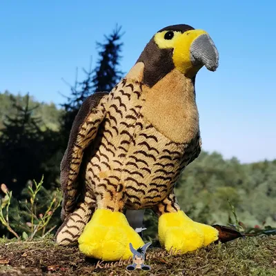 Produktbild von Falke Kuscheltier Vogel Greif Bussard Habich Plüschtier Plüschfalke MARWIN