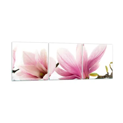 Produktbild von Bilder auf glas - Magnolie blume natur pflanze - 120x40cm - Glasbilder - Wandbilder - Kunstdruck - zum Aufhängen bereit - Wanddekoration aus Glas - Glas Bilder - Wandbild auf Glas - GCA120x40-2641
