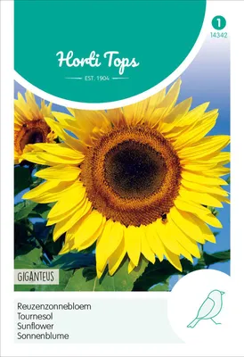 Produktbild von Sonnenblume Giganteus | Sonnenblumensamen von Hortitops