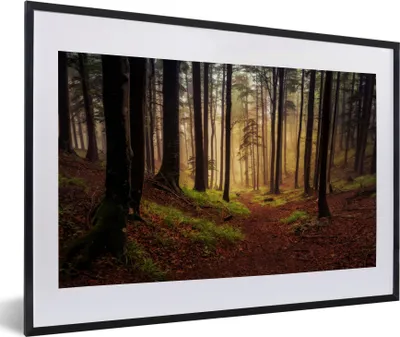 Produktbild von MuchoWow® Gerahmtes Poster Bäume - Natur - Wald 60x40 cm - Poster mit Schwarzem Bilderrahmen Wandposter Rahmen Foto Bilder - Schlafzimmer - Plakat in Rahmen - Drucken