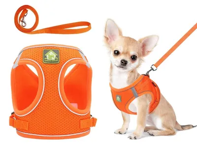 Produktbild von Hundegeschirr und Leine Set, Mesh Welpenweste Geschirr, reflektierendes, verstellbares Haustiergeschirr für Spaziergänge im Freien (Orange), S