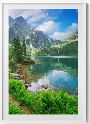 Produktbild von Bewaldete Berglandschaft– Wandbild mit Rahmen – Gerahmtes Bild  – Wanddekoration – 70x100 cm –  Weiß Rahmen