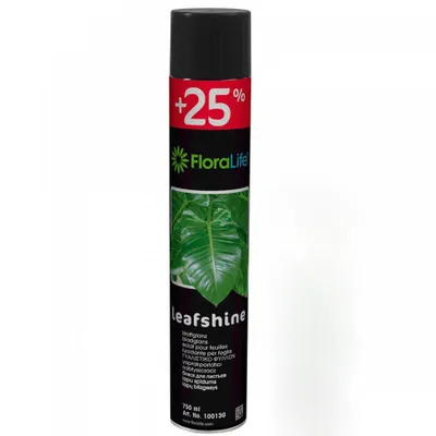 Produktbild von FLORALIFE Blattglanz Spray 750ml Oasis Pflanzenpflege Blumenpflege Blattpflege