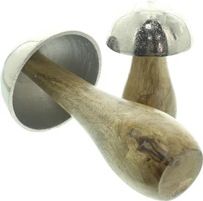 Produktbild von FRANK FLECHTWAREN Pilz Mangoholz, 2er Set, Mangoholz, naturbelassen, Aluminiumguss Maße: Höhe 11 cm, 18 cm vielseitig einsetzbar