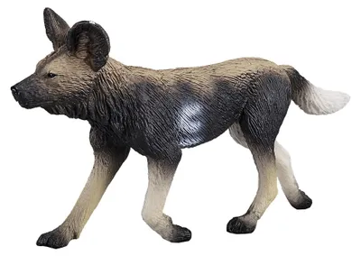 Image de Mojo Wildlife : Chien de chasse d'origine africaine - Référence : 387110