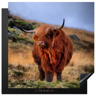 Produktbild von KitchenYeah© Herdabdeckplatte Schottische Highlander - Gras - Steine , 78x78cm, Küche Deko, Glaskeramikkochfeld Herdabdeckung, Abdeckplatte fùr Kochfeld