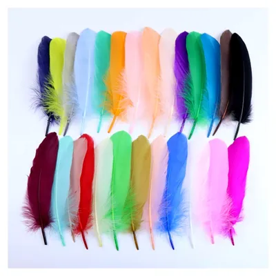 Produktbild von Bunte Gänsefedern, 15–20 cm, 10/50/100 Stück, für Dekoration und Bastelarbeiten