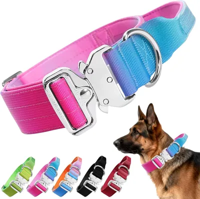 Produktbild von Taktisches Hundehalsband, verstellbar, Nylon, mit Kontrollgriff, mittelgroße und große Hunde, für Training