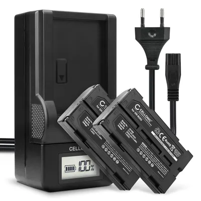 Immagine prodotto di CELLONIC 2x Batteria per Fotocamera Compatibile con Panasonic NV-GS330, VDR-D250, NV-DX100, VW-VBD140 – (2000mAh, 7.4V) + Caricabatteria