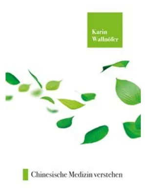 Produktbild von Chinesische Medizin verstehen