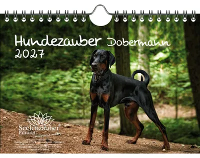 Produktbild von Hundezauber Dobermann DIN A5 Kalender für 2027 Welpen und Hunde - Seelenzauber