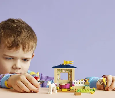 Immagine prodotto di LEGO 41696 LEGO Friends 41696 Ponypflege 4+