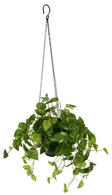 Zdjęcie produktu dla Sztuczna roślina doniczkowa, zdjęcie, sztuczne kwiaty, pothos, wiszący kosz, bluszcz, zdjęcie rośliny