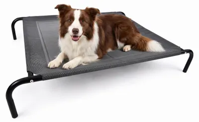 Image de Solidchoice - Lit surélevé pliable pour animaux, 130x90x20 cm