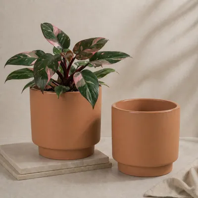 Produktbild von Übertöpfe in Ø 13 cm, Beige Blumentöpfe im 2er Set
