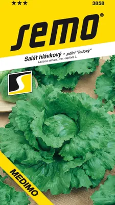Obrázok produktu pre ŠALÁT HLÁVKOVÝ jarný ľadový Medimo
