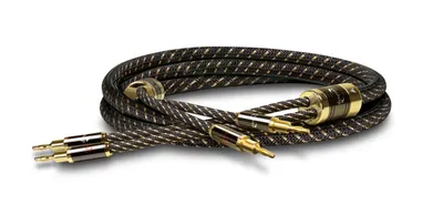 Immagine prodotto di Cavo per altoparlanti Dynavox Black Line, coppia, cavo flessibile di alta qualità con connettori a banana di alta qualità, confezionato, colore nero, lunghezza 3 m