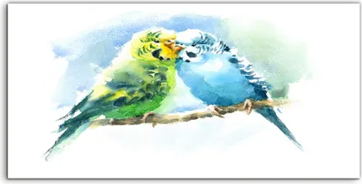 Produktbild von Coloray Acrylbild 100x50  Wandbild Acrylbilder Aquarell Haustiervögel Wellensittiche