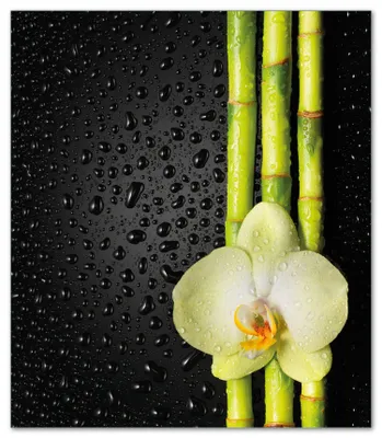 Produktbild von Wallario Herdabdeckplatte aus Glas, Größe 52 x 60 cm 1-teilig, Motiv Grüne Orchidee mit Bambus auf schwarz - Regentropfen