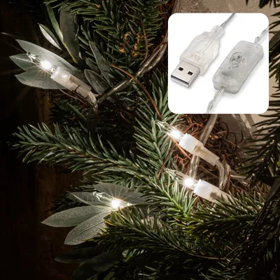Produktbild von 10-tlg. LED-Lichterk. m. USB-Anschluss u. Schalter, Kabel transp.
