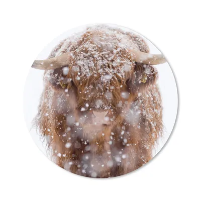 Produktbild von MuchoWow® Mauspad Mousepad Schottischer Highlander - Hörner - Schnee 30x30 cm - Mousepads - Maus Mat - Pad - Mausunterlage - Tischunterlage - Schreibtischmatten
