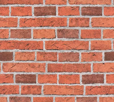 Obrázok produktu pre A.S. Création papierová tapeta Dekora Natur 5, sivá, červená, 10,05 m x 0,53 m, 779816, 7798-16